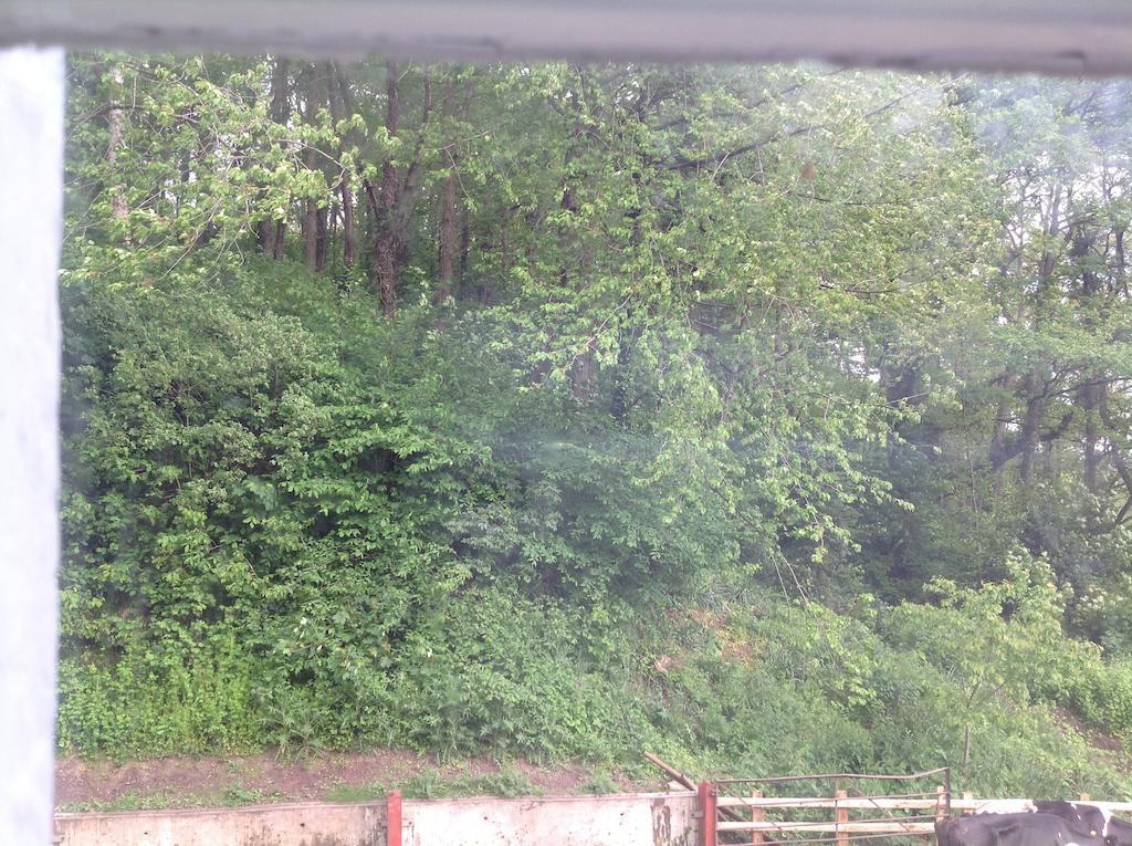 Bach Y Graig Hotel St Asaph Kamer foto