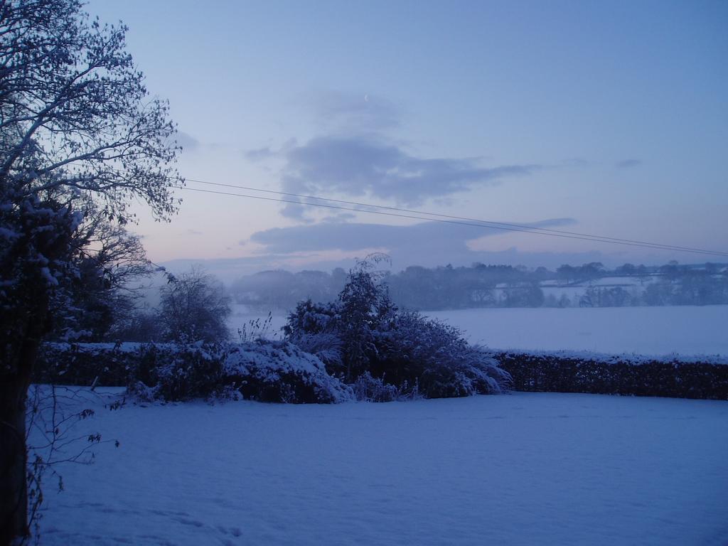 Bach Y Graig Hotel St Asaph Buitenkant foto