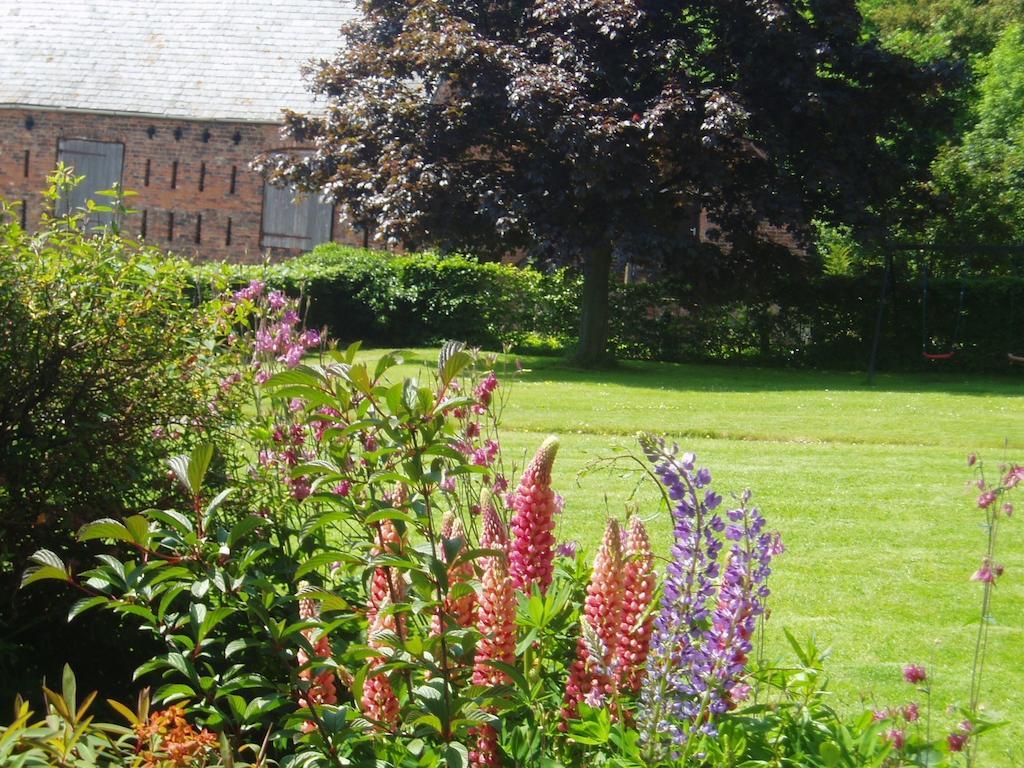 Bach Y Graig Hotel St Asaph Kamer foto