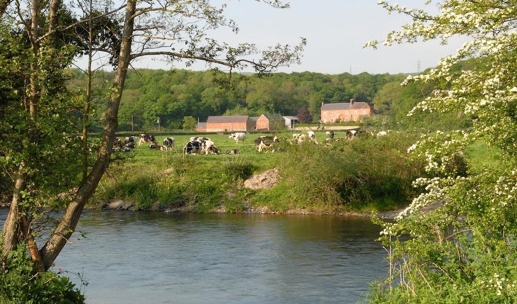 Bach Y Graig Hotel St Asaph Buitenkant foto